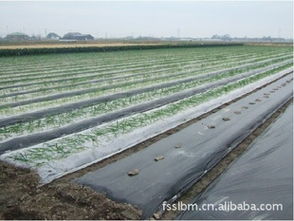 茂名廠家直供農(nóng)用薄膜 茂南豐收塑料薄膜廠產(chǎn)品供應介紹