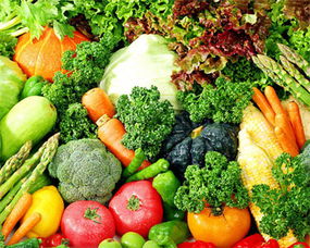 食用農產品價格企穩回落與生產資料價格持續下降對行業研發的啟示