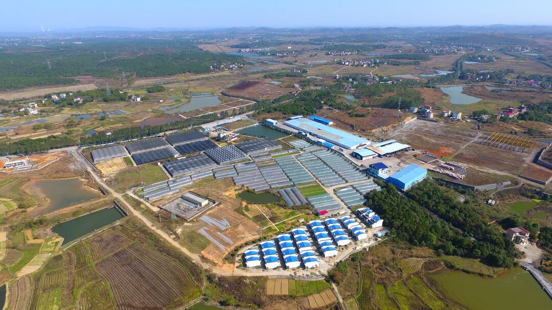 東安 立足特色資源，以科技研發驅動現代農業與食用農產品產業高質量發展