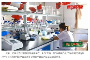 市農業農村局多措并舉 助力文明城市創建 保障食用農產品質量安全與充足供應