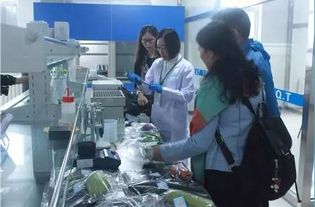 李忠副局長率隊調研供深食用農產品安全與研發工作，筑牢市民“舌尖上的防線”